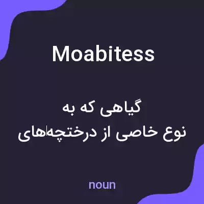 معنی moabitess به فارسی معنی moabitess به فارسی