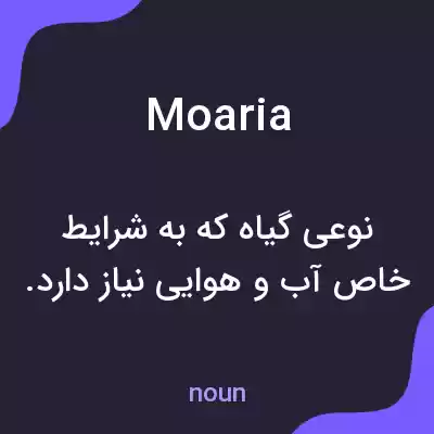 معنی moaria به فارسی معنی moaria به فارسی