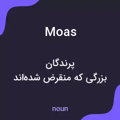 معنی moas به فارسی