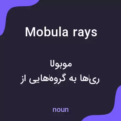 معنی mobula rays به فارسی معنی mobula rays به فارسی