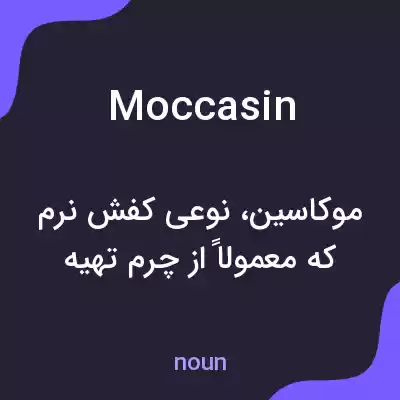 معنی moccasin به فارسی معنی moccasin به فارسی