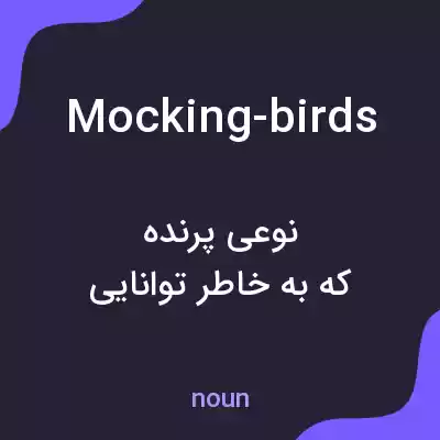 معنی mocking-birds به فارسی