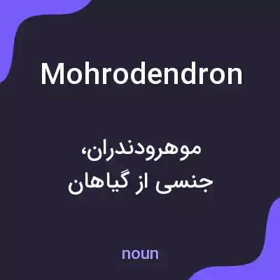 معنی mohrodendron به فارسی