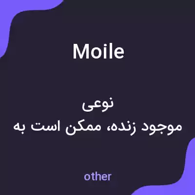 معنی moile به فارسی معنی moile به فارسی