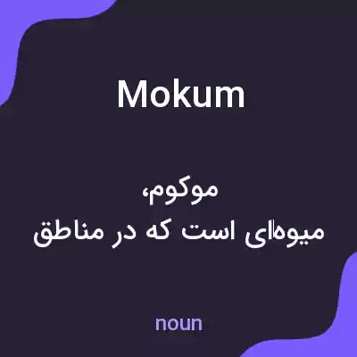 معنی mokum به فارسی معنی mokum به فارسی