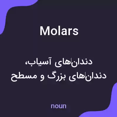 معنی molars به فارسی معنی molars به فارسی