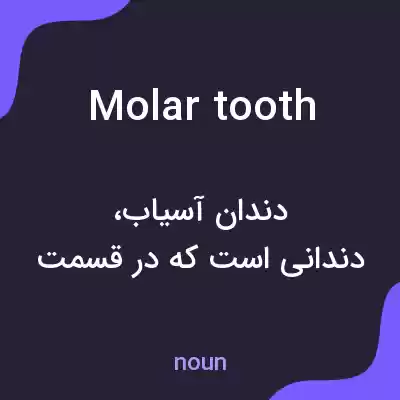 معنی molar tooth به فارسی معنی molar tooth به فارسی