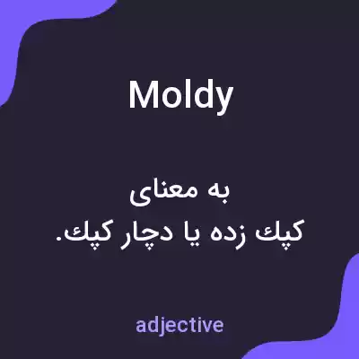 معنی moldy به فارسی معنی moldy به فارسی