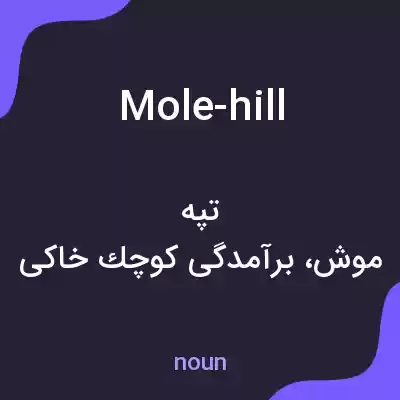 معنی mole-hill به فارسی معنی mole-hill به فارسی