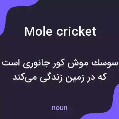 معنی mole cricket به فارسی معنی mole cricket به فارسی