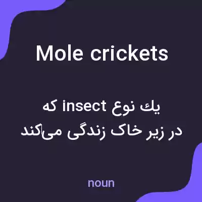 معنی mole crickets به فارسی معنی mole crickets به فارسی