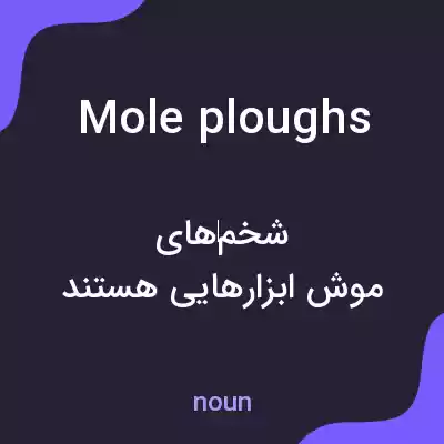 معنی mole ploughs به فارسی معنی mole ploughs به فارسی