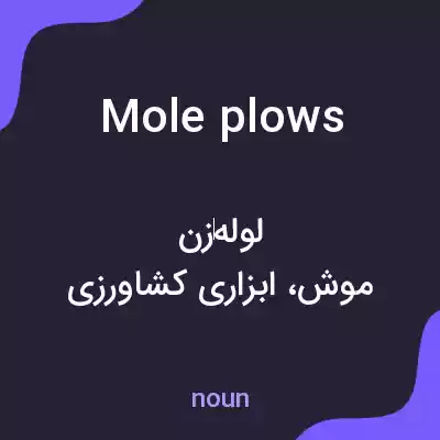 معنی mole plows به فارسی معنی mole plows به فارسی