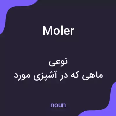 معنی moler به فارسی معنی moler به فارسی