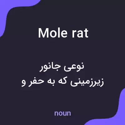 معنی mole rat به فارسی معنی mole rat به فارسی