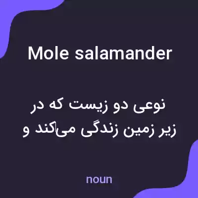 معنی mole salamander به فارسی