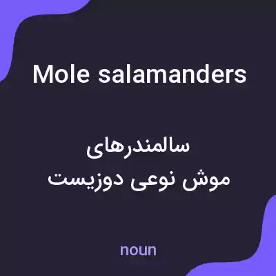 معنی mole salamanders به فارسی معنی mole salamanders به فارسی