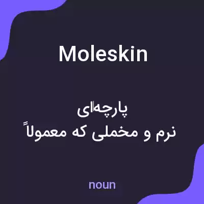 معنی moleskin به فارسی معنی moleskin به فارسی