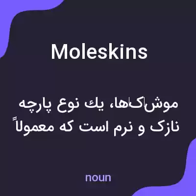 معنی moleskins به فارسی معنی moleskins به فارسی