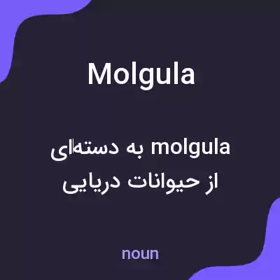 معنی molgula به فارسی