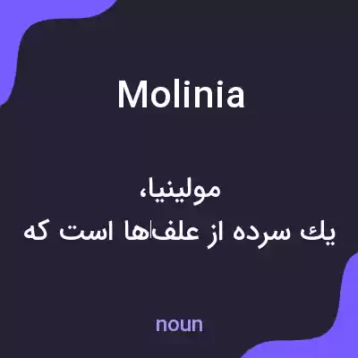معنی molinia به فارسی معنی molinia به فارسی