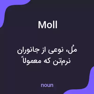 معنی moll به فارسی معنی moll به فارسی