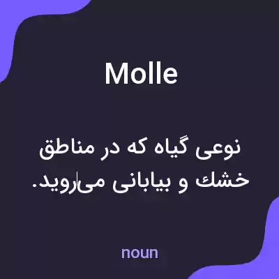 معنی molle به فارسی معنی molle به فارسی