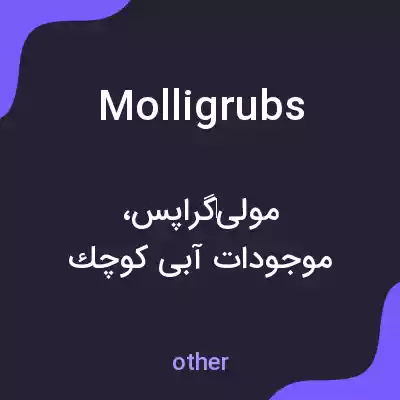 معنی molligrubs به فارسی معنی molligrubs به فارسی