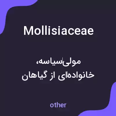 معنی mollisiaceae به فارسی معنی mollisiaceae به فارسی