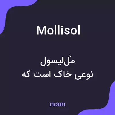 معنی mollisol به فارسی معنی mollisol به فارسی
