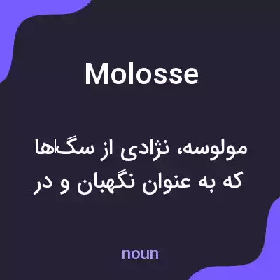 معنی molosse به فارسی معنی molosse به فارسی