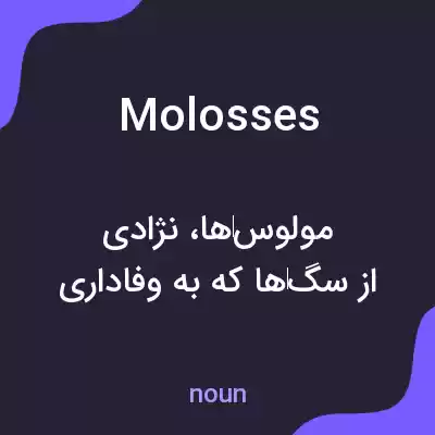 معنی molosses به فارسی معنی molosses به فارسی