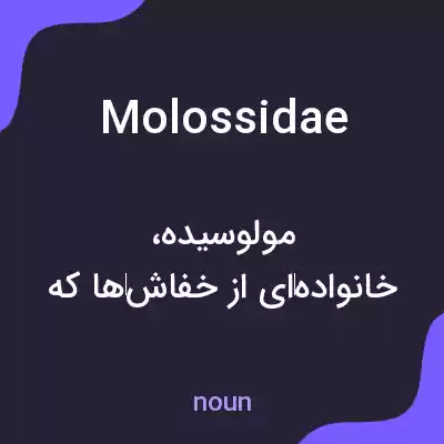 معنی molossidae به فارسی معنی molossidae به فارسی