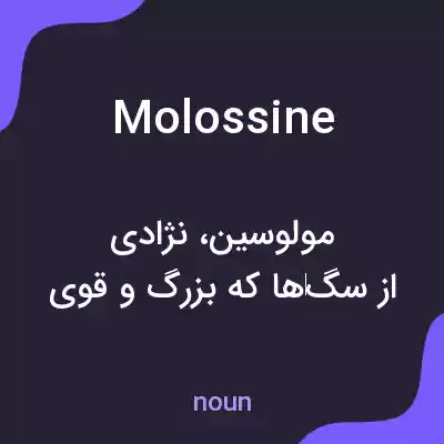 معنی molossine به فارسی معنی molossine به فارسی