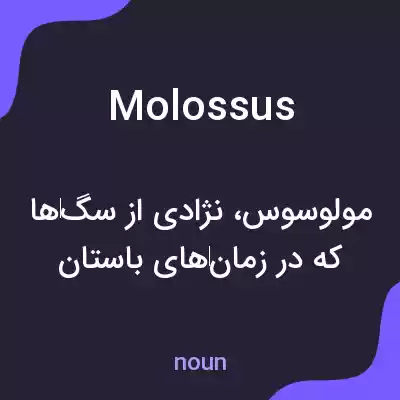 معنی molossus به فارسی معنی molossus به فارسی