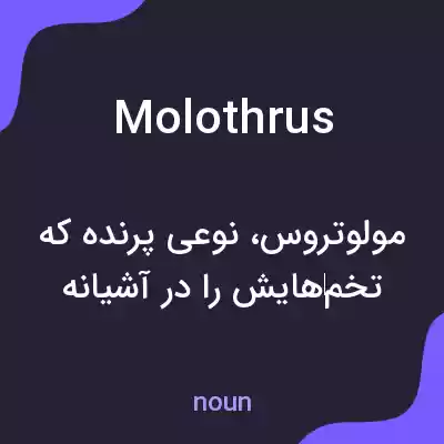 معنی molothrus به فارسی معنی molothrus به فارسی
