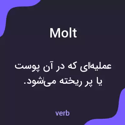 معنی molt به فارسی معنی molt به فارسی