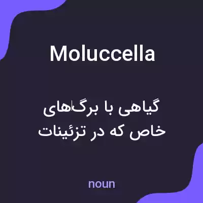 معنی moluccella به فارسی معنی moluccella به فارسی