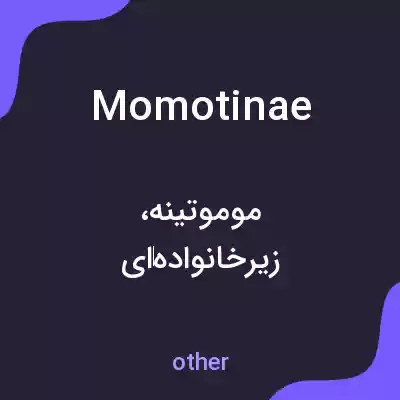 معنی momotinae به فارسی معنی momotinae به فارسی