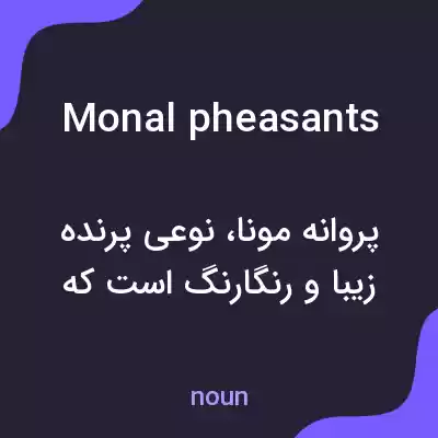 معنی monal pheasants به فارسی معنی monal pheasants به فارسی