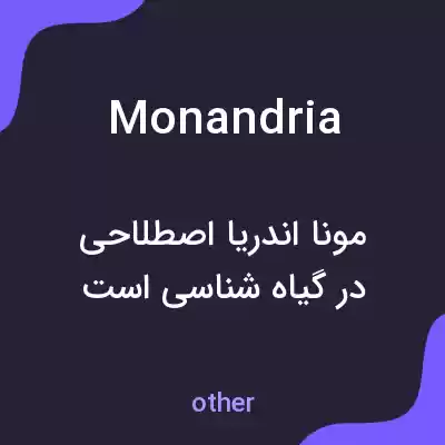 معنی monandria به فارسی معنی monandria به فارسی