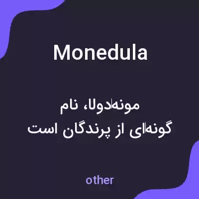 معنی monedula به فارسی معنی monedula به فارسی