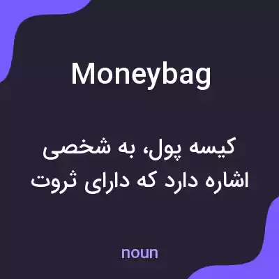 معنی moneybag به فارسی معنی moneybag به فارسی