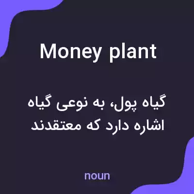 معنی money plant به فارسی معنی money plant به فارسی