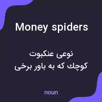 معنی money spiders به فارسی معنی money spiders به فارسی