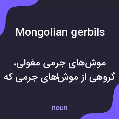 معنی mongolian gerbils به فارسی معنی mongolian gerbils به فارسی