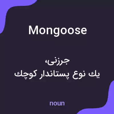 معنی mongoose به فارسی معنی mongoose به فارسی
