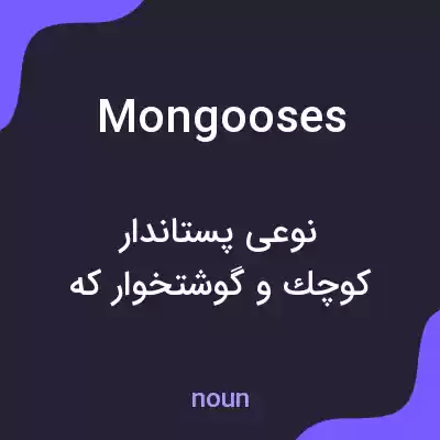 معنی mongooses به فارسی معنی mongooses به فارسی