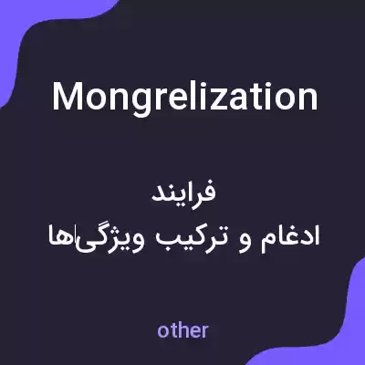 معنی mongrelization به فارسی معنی mongrelization به فارسی