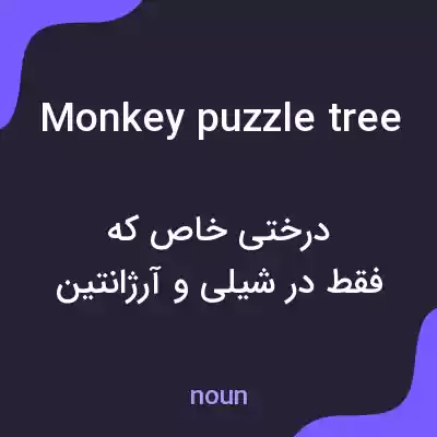 معنی monkey puzzle tree به فارسی معنی monkey puzzle tree به فارسی